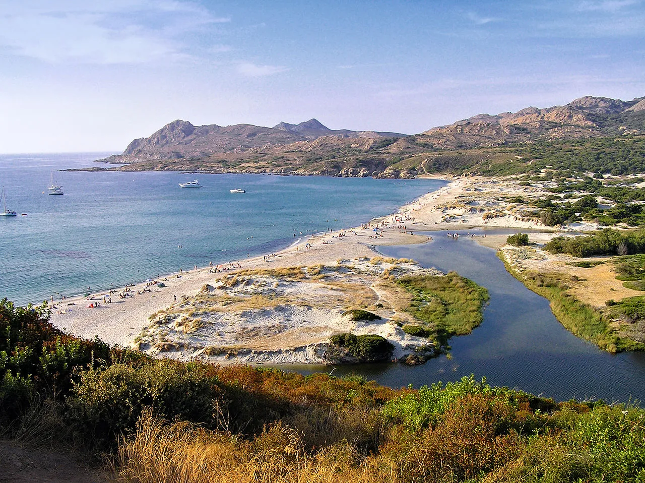 Ostriconi