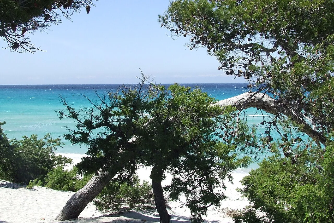 Spiaggia saleccia Corsica