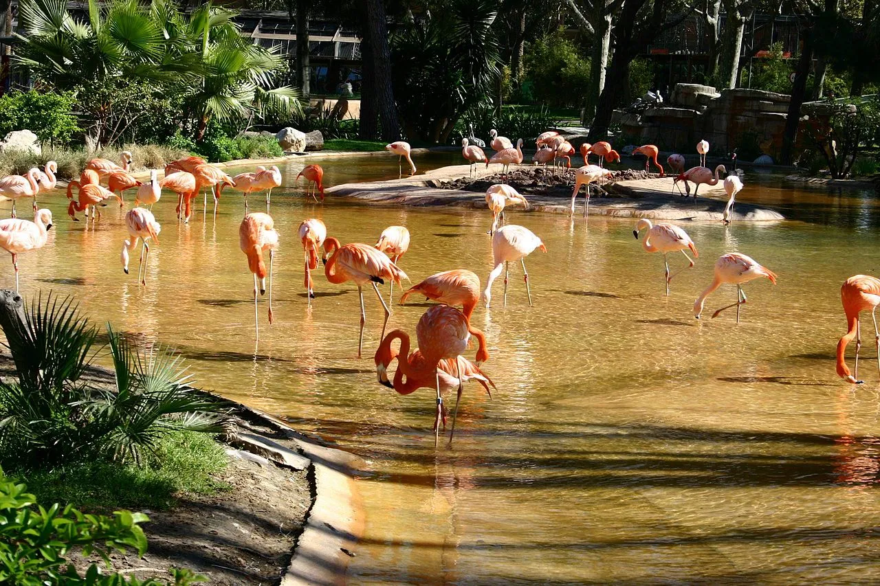 zoo barcellona