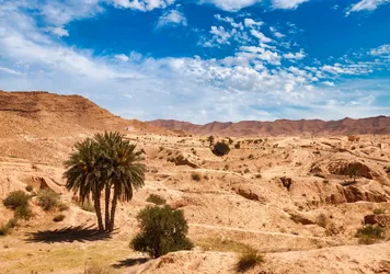 Prenota un traghetto per Tunisia